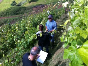 Jose Irma y El Viejo