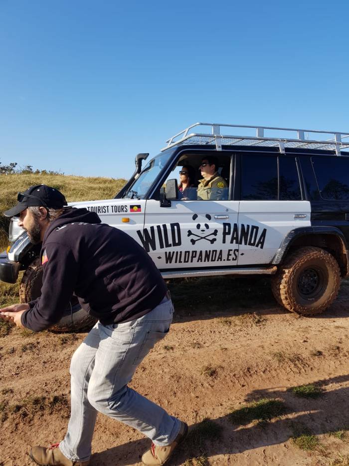 wild panda, arriba y abajo producciones, grabacion spot,